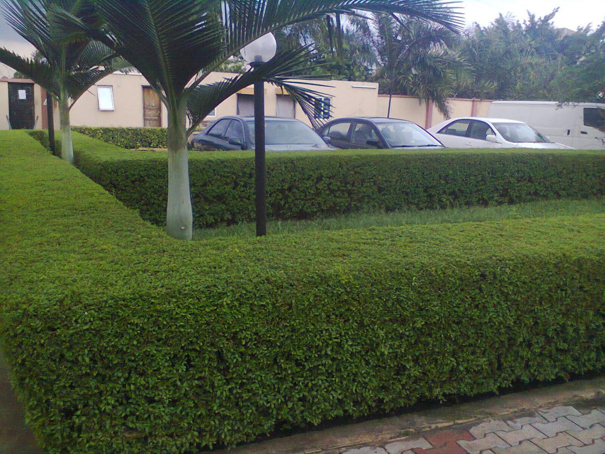 Orchid Hotel Asaba Exterior photo